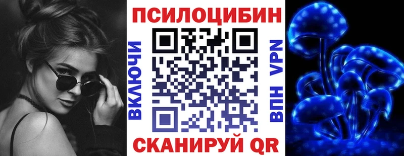 Купить  Кинешма  Псилоцибиновые грибы Psilocybine cubensis 