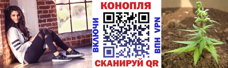 Купить закладки  Кинешма  Марихуана планчик 